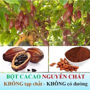 cacao-nguyen-chat-dak-lak