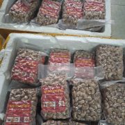 goi hat dieu 500gr