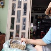 nha-ca-phe-xanh (3)