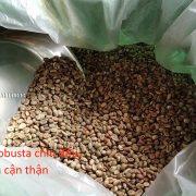 nha-ca-phe-xanh (4)